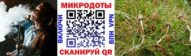 Галлюциногенные грибы MAGIC MUSHROOMS Городище